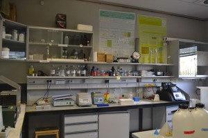 Imagen del laboratorio 109 del CIB-CSIC